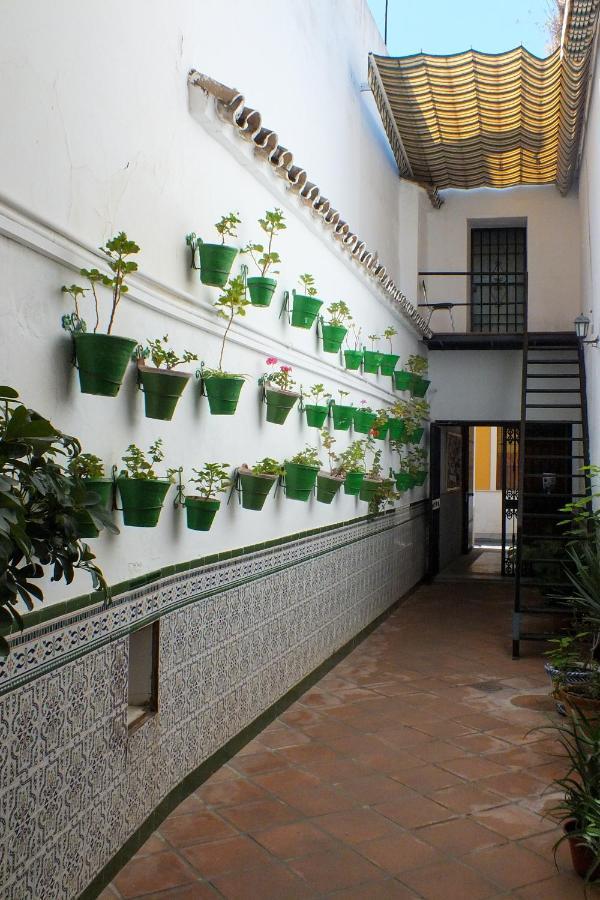 ホテルEl Patio De Santiago コルドバ エクステリア 写真